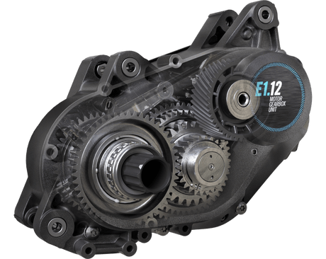 Delite5 & Homage5 Pinion : une nouvelle étape pour les vélos électriques Riese & Müller