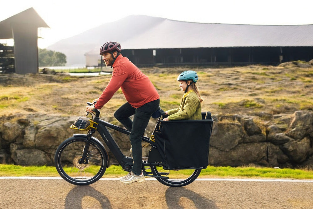 Protection en bas pour Multicharger - Riese & Müller