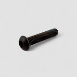 M8X30mm Cylinder Head Screw TORX40